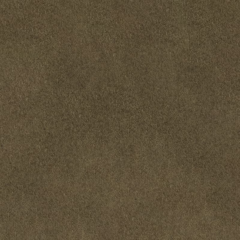 Alcantara