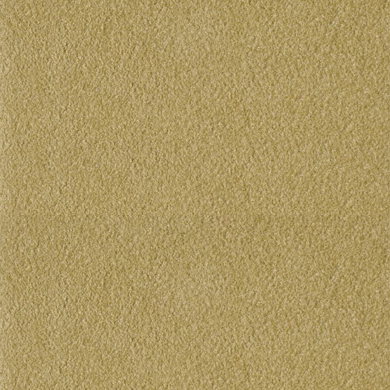 Alcantara