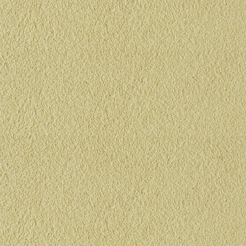 Alcantara