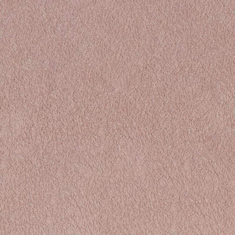 Alcantara — Bloom