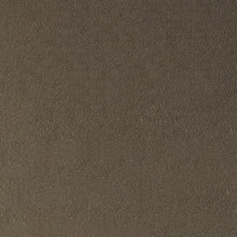 Alcantara — Koala