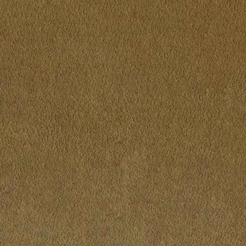 Alcantara — Camel