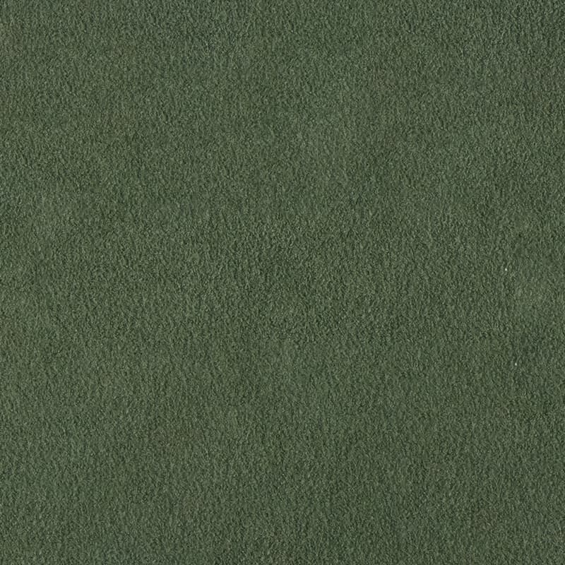 Alcantara — Lizard