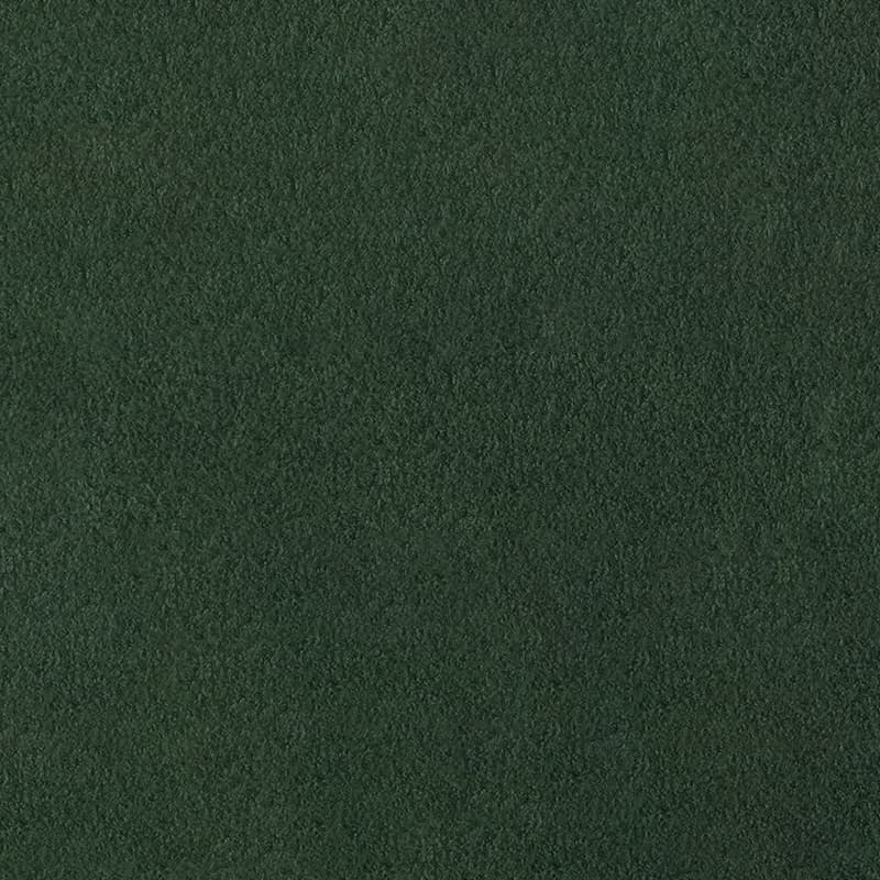 Alcantara — Lichen