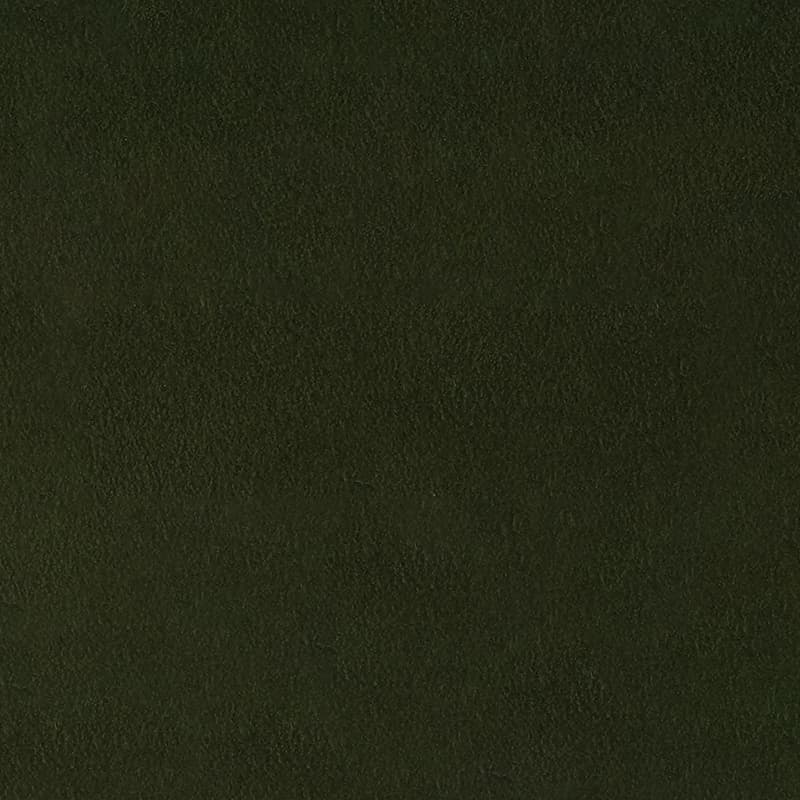 Alcantara — Kiwi