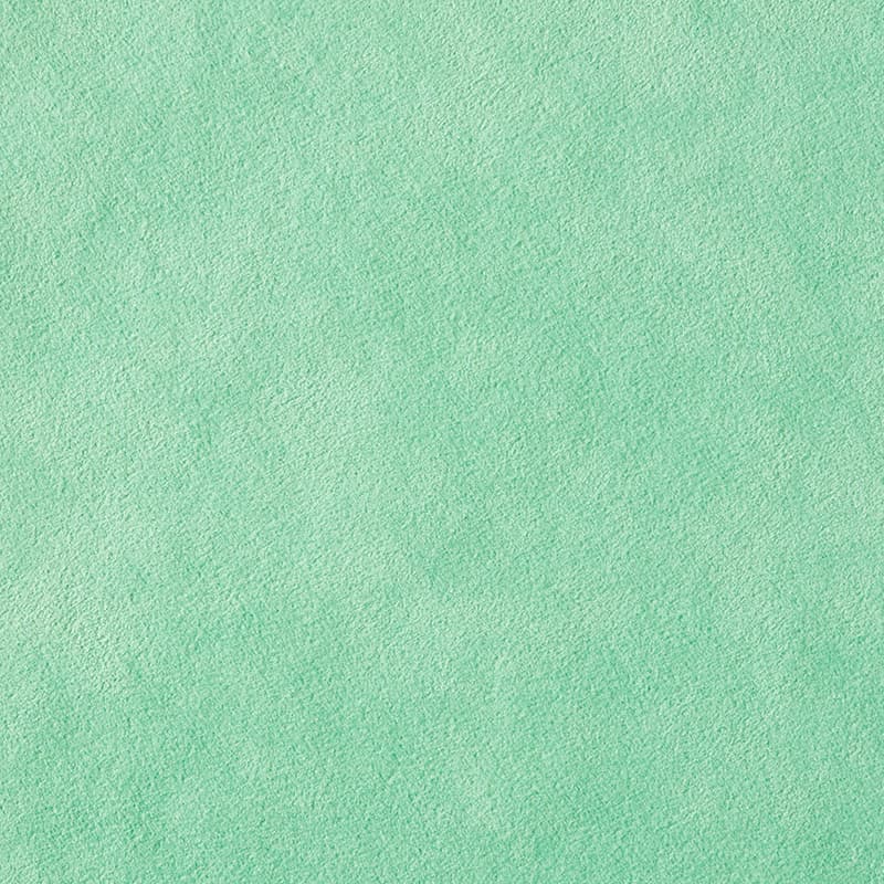 Alcantara