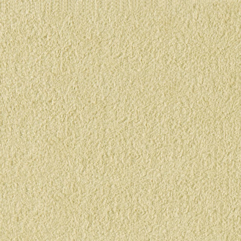 Alcantara