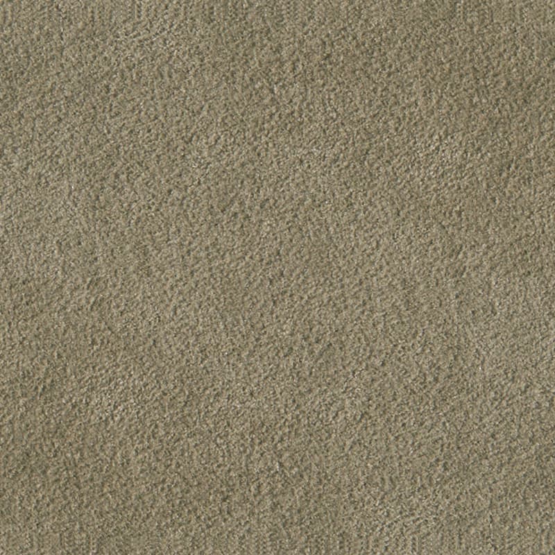 Alcantara
