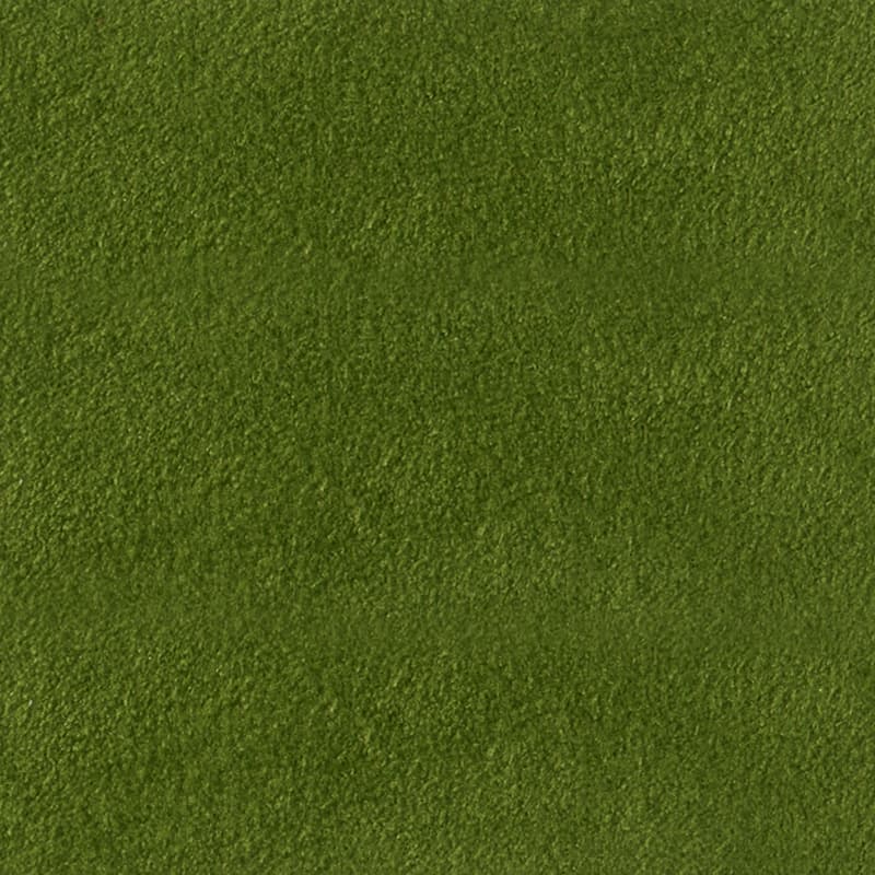 Alcantara