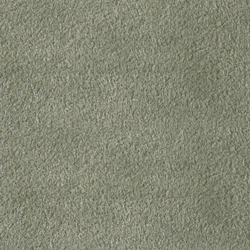 Alcantara