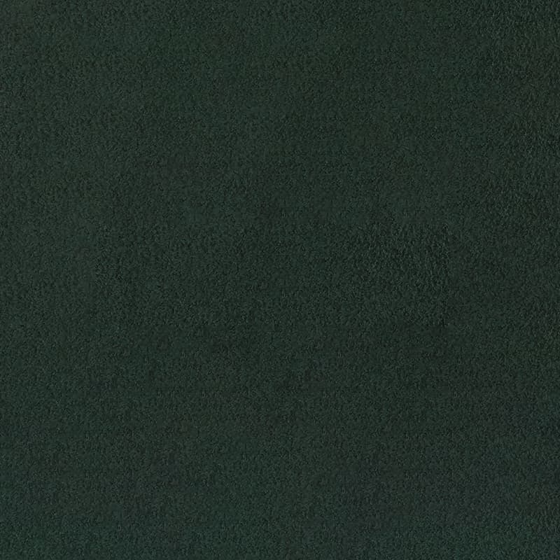 Alcantara