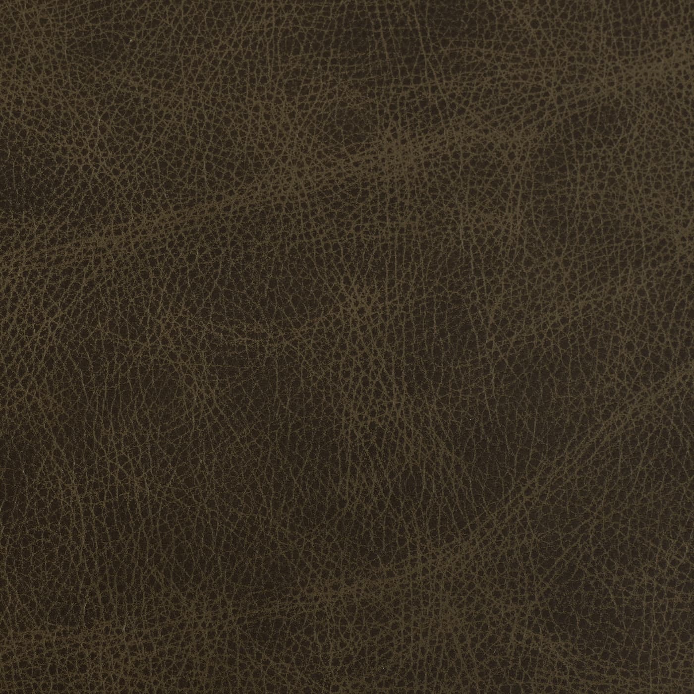 ITALIAN GENUINE LEATHER — CHAPS