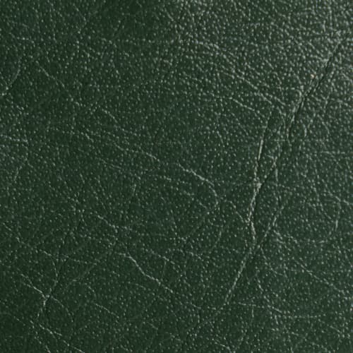 ITALIAN GENUINE LEATHER — Fir