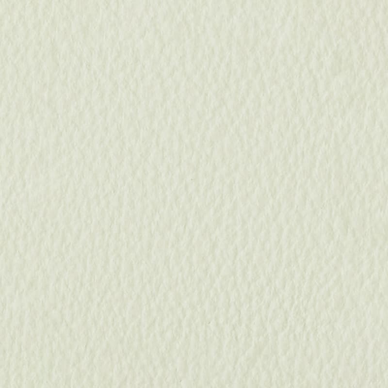 ITALIAN GENUINE LEATHER — Gesso