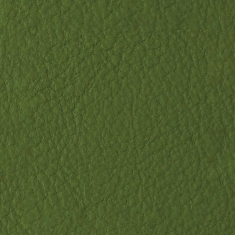 ITALIAN GENUINE LEATHER — Aloe