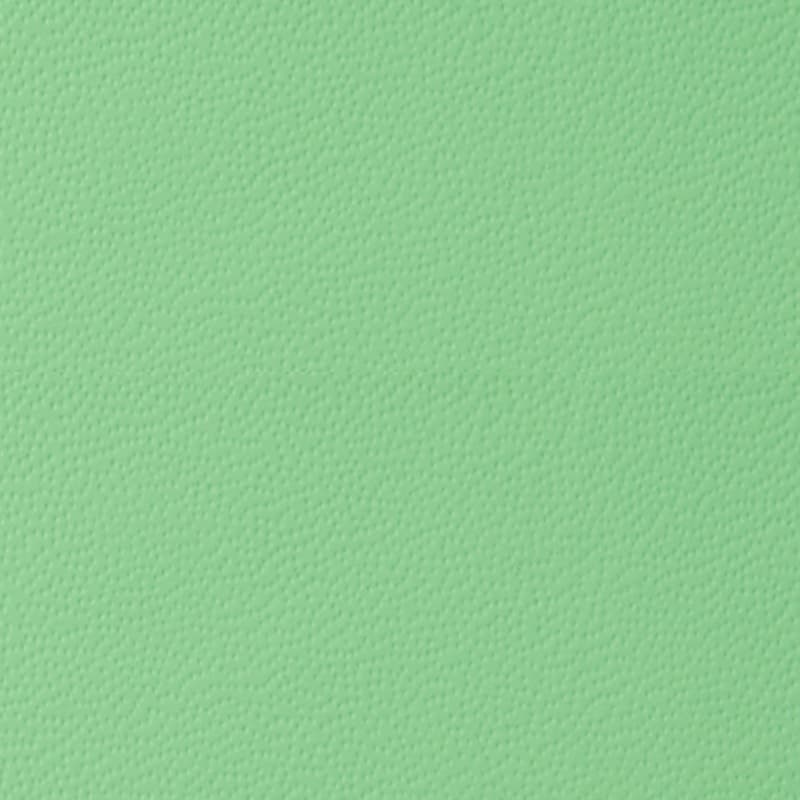 ITALIAN GENUINE LEATHER — Aequus Green