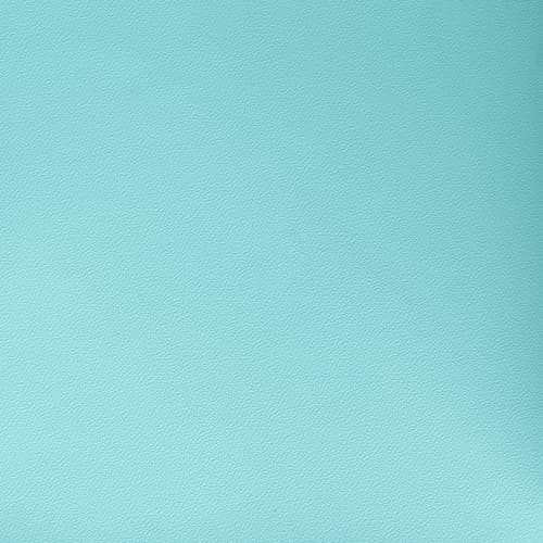 Vegan Leather — Color 3800