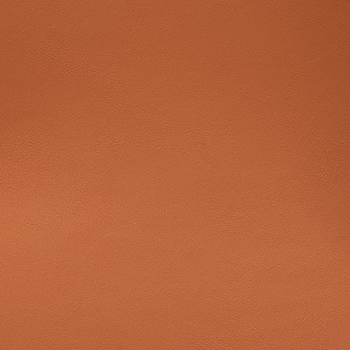 Vegan Leather — Color 9748