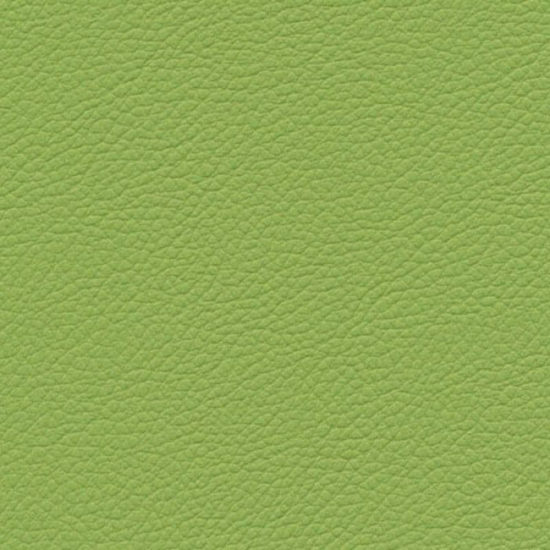 Vegan Leather — Green