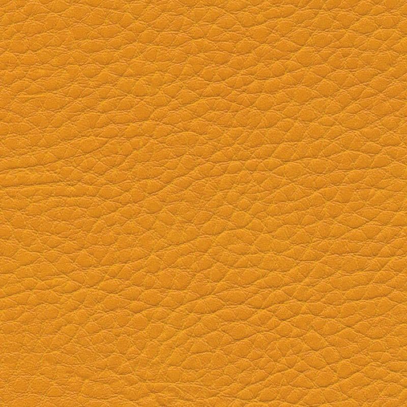 Vegan Leather — Mango