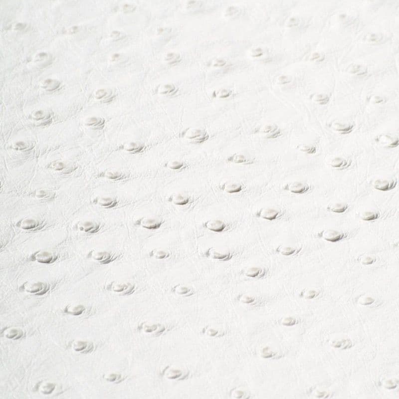 Vegan Leather — Offwhite