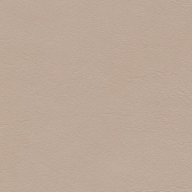 Vegan Leather — Birke