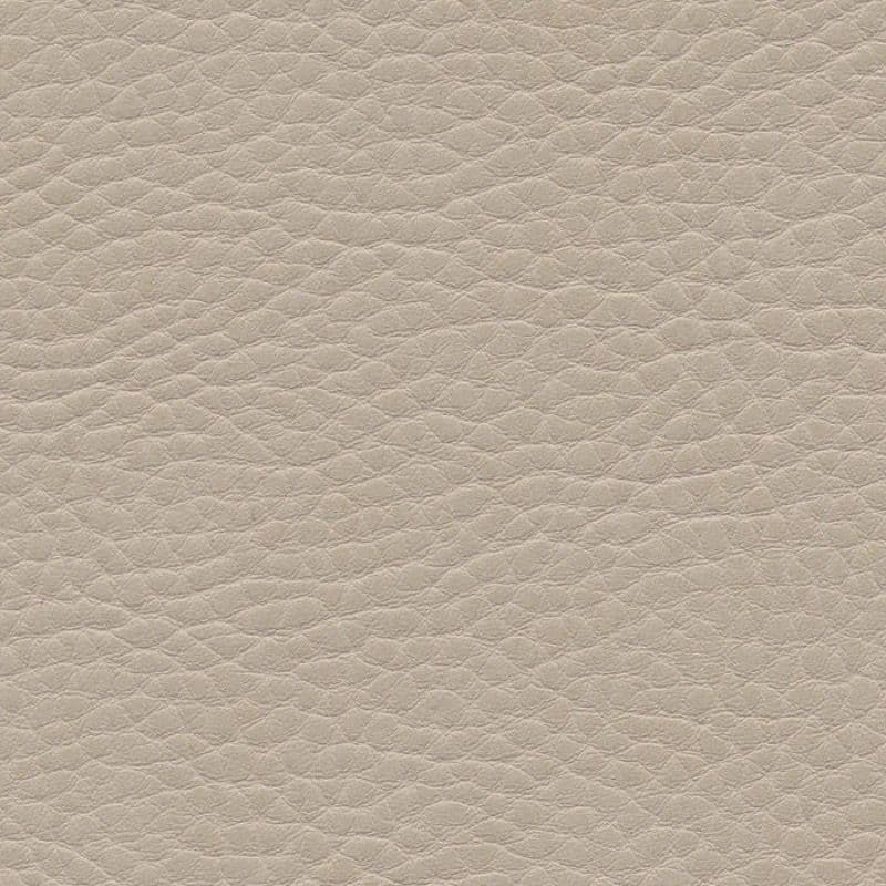 Vegan Leather — Birke