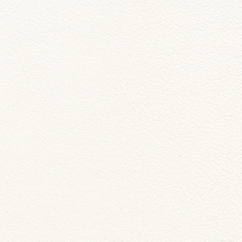 Vegan Leather — Weiss