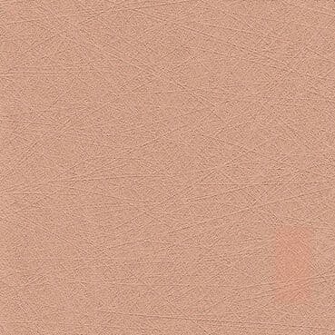 Vegan Leather — Come Closer!