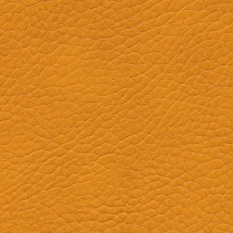 Vegan Leather — Mango