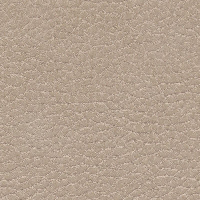 Vegan Leather — Birke