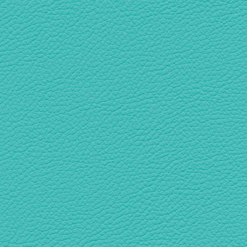 Vegan Leather — Health Green