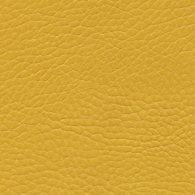Vegan Leather — Mais