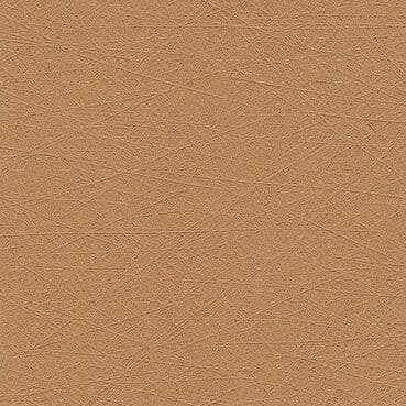 Vegan Leather — Gobi