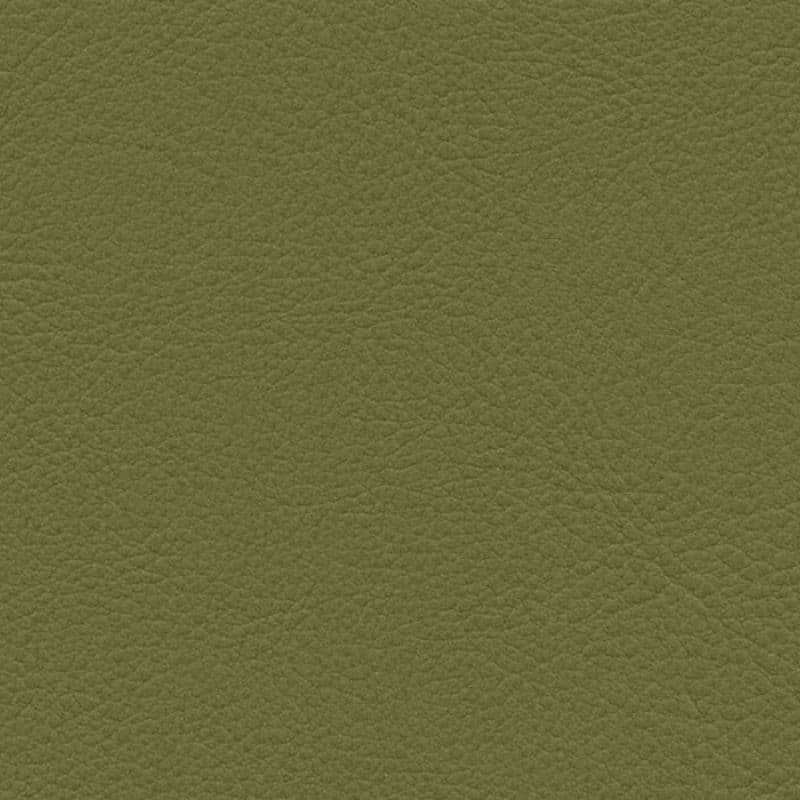 Vegan Leather — Moss