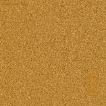 Vegan Leather — Taste South!