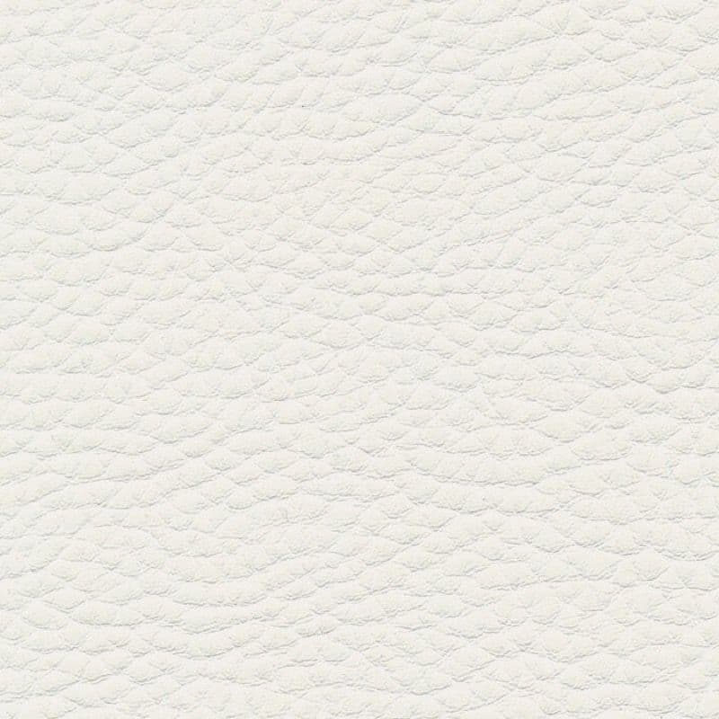 Vegan Leather — Weiss